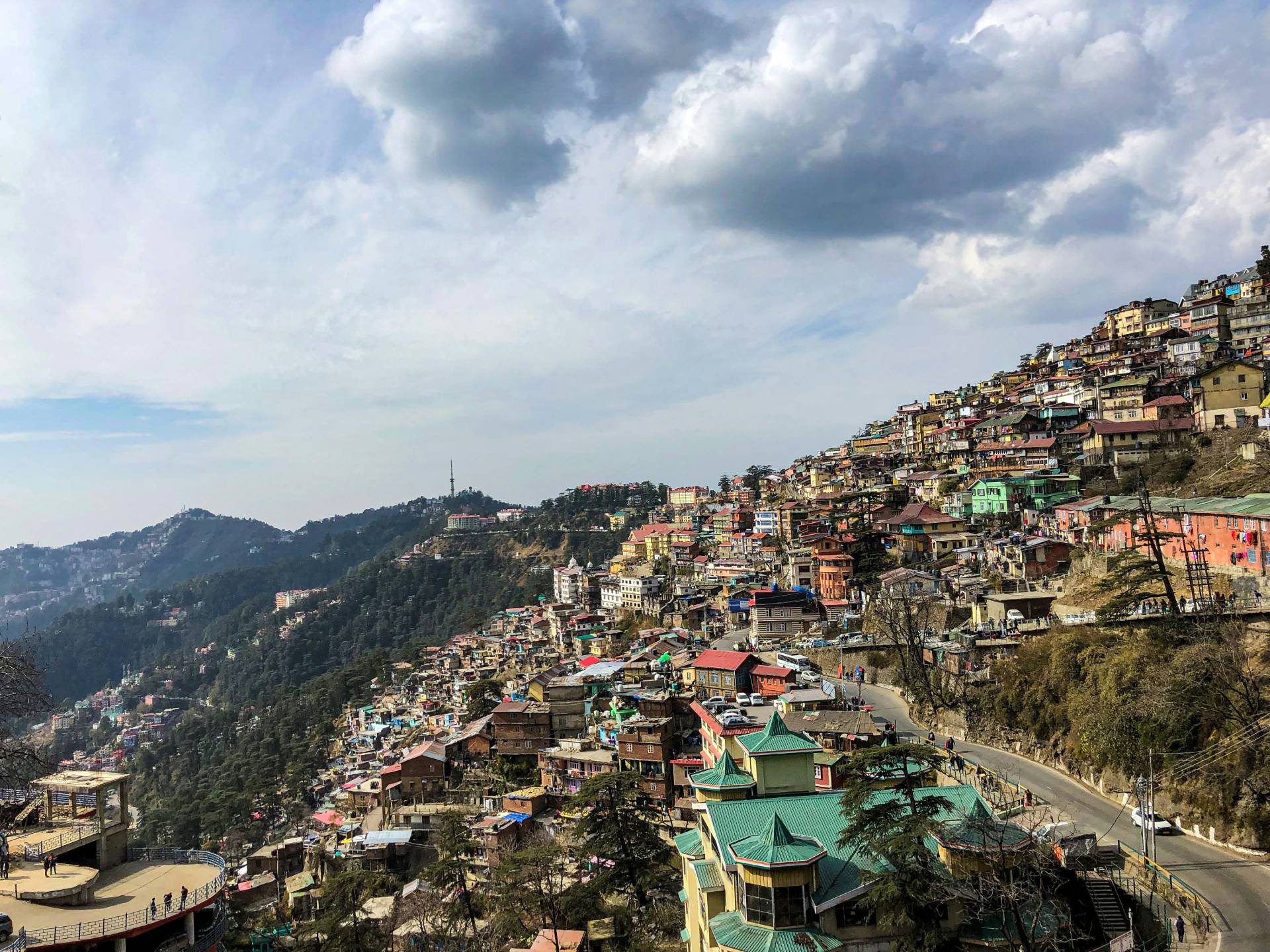 Himalayan