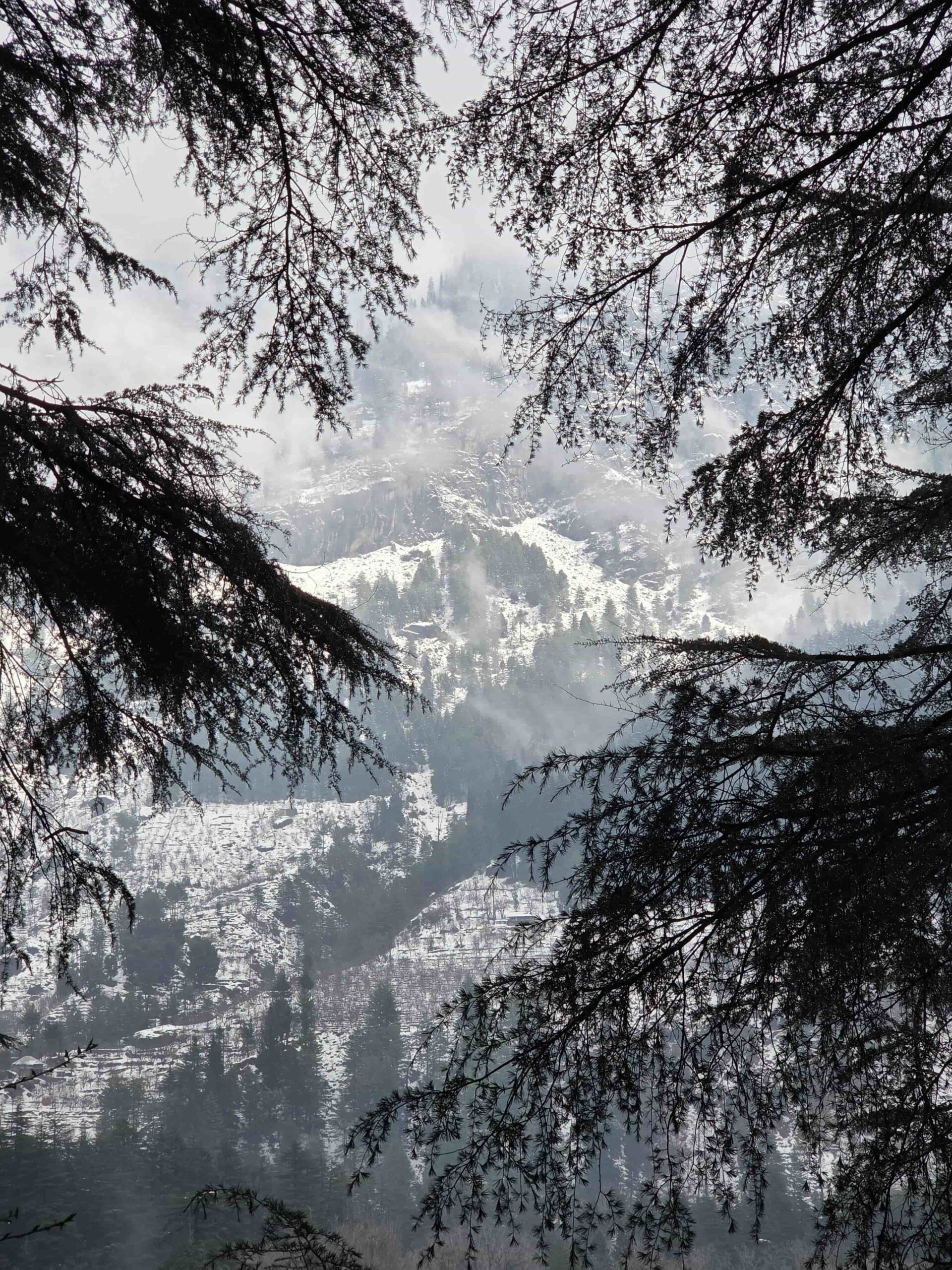 Manali View