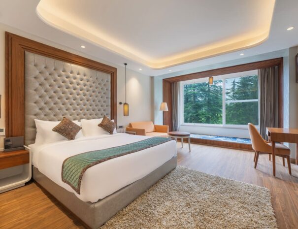Panoramic Room 6