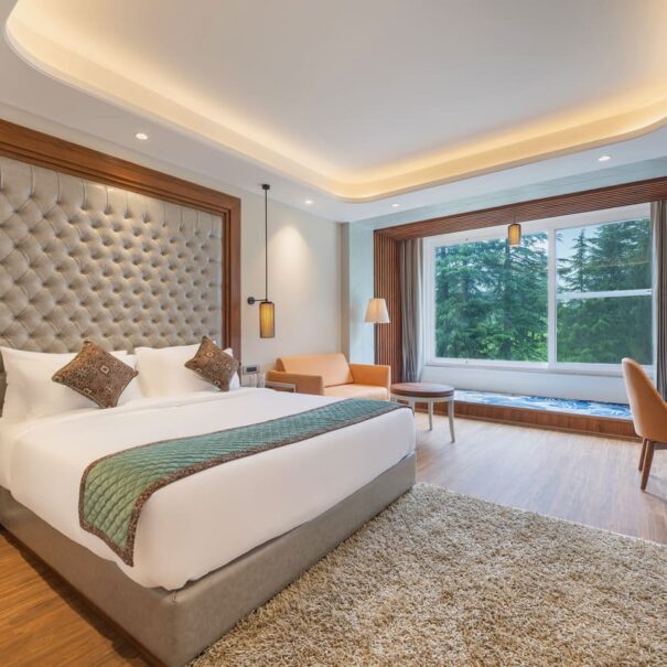 Panoramic Room 6
