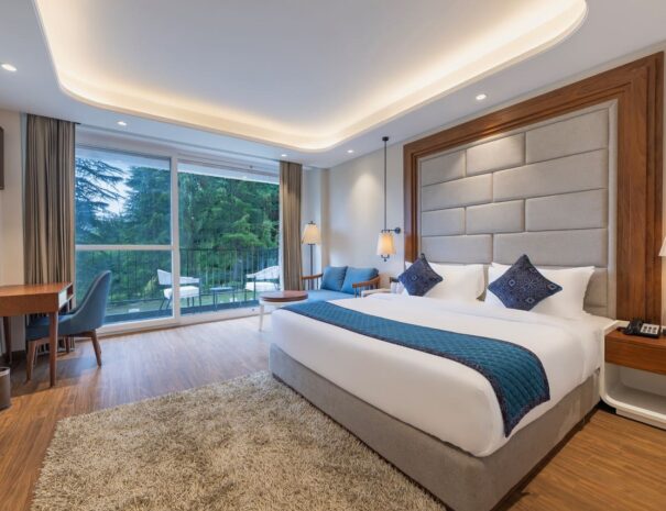 Premium Room 1