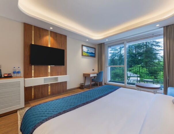Premium Room 2