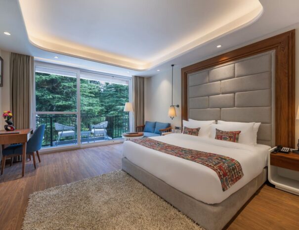 Superior Room 1