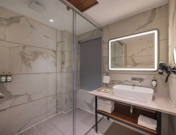 Superior Room Washroom