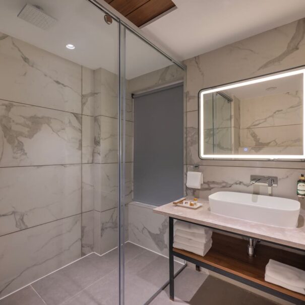 Superior Room Washroom