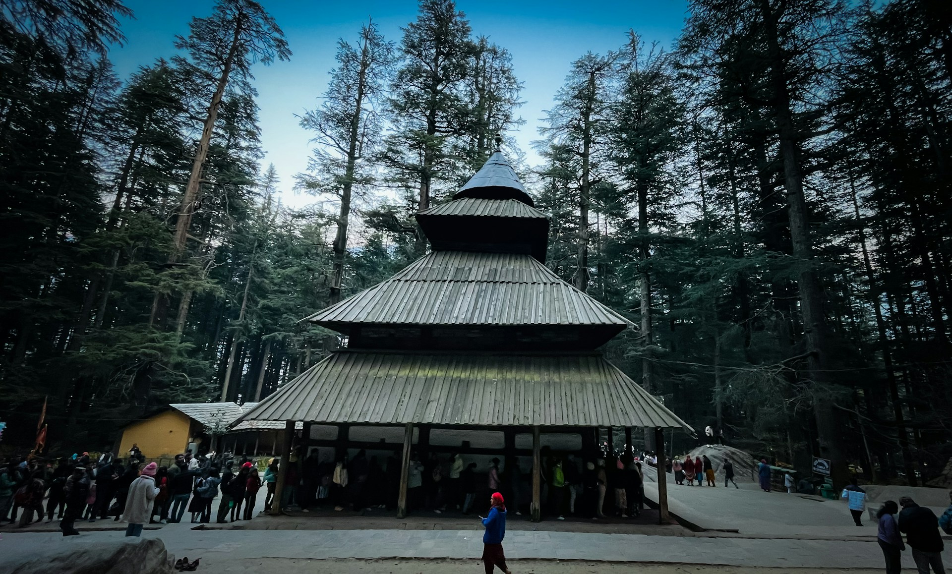 Shimla